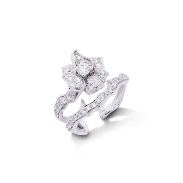 Tattoo : Beauty of Life Diamond Ear Cuff