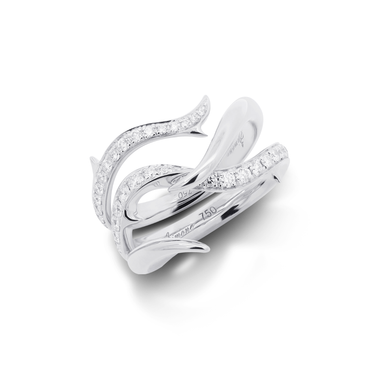 Tattoo : Courage of Life Ring